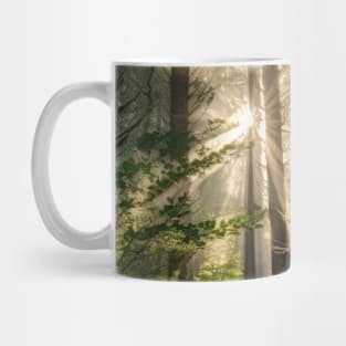 Sunshine on the dense forests after the rain Mug